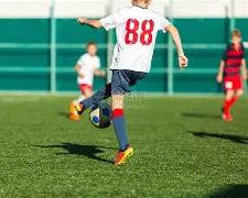 总决赛乒联,名单揭晓,我国男单七,乐鱼体育官方,乐鱼体育在线官网,乐鱼体育线上,乐鱼体育APP