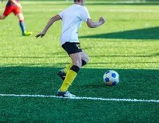 高圆圆涉足,鲜花电商项,成被执行人,乐鱼体育官方,乐鱼体育在线官网,乐鱼体育线上,乐鱼体育APP