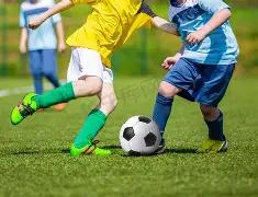 乐鱼体育,资讯,乐鱼体育官方,乐鱼体育官方,乐鱼体育在线官网,乐鱼体育线上,乐鱼体育APP