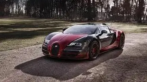 英拳王隔离中 拜会查尔斯王子后握手