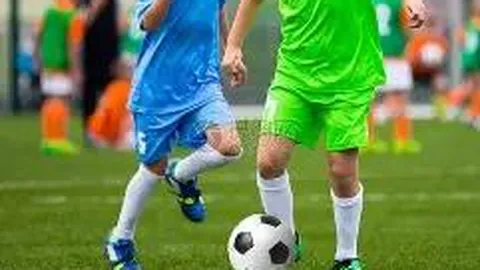 乐鱼体育 产品 104207 ffq