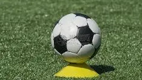 乐鱼体育 产品 104202 vah